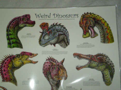 Weird dinosaurs poster.