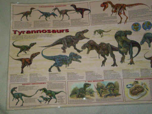 Tyrannosaurs poster
